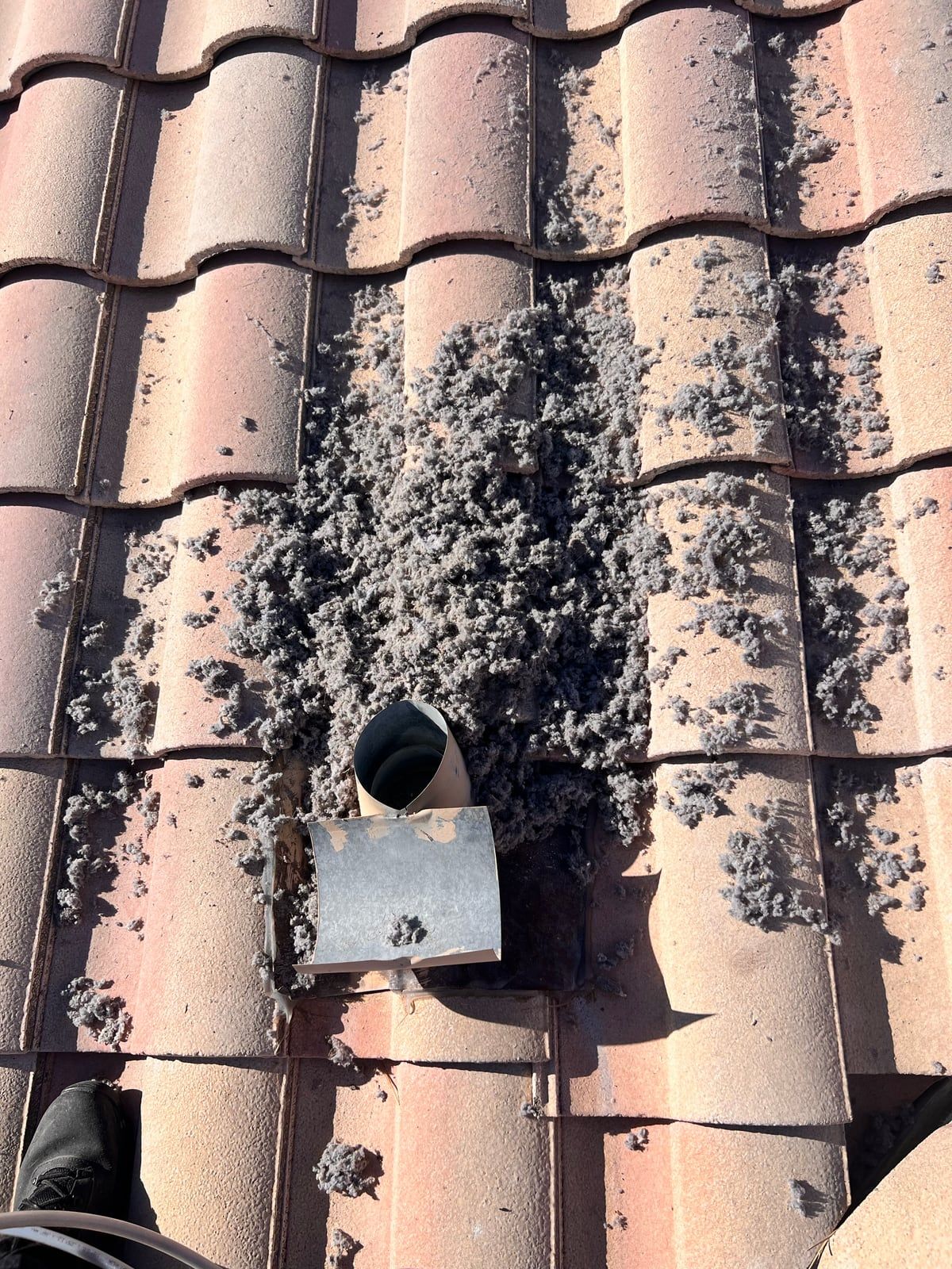 Clumps of gray lint spread across clay roof tiles around a dryer vent pipe