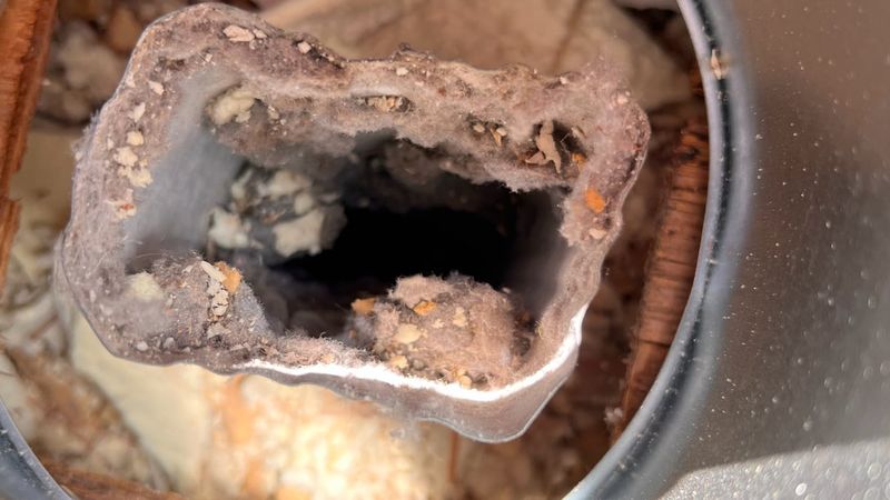 A dryer duct opening inside a metal wall box, its walls caked with gray lint and debris