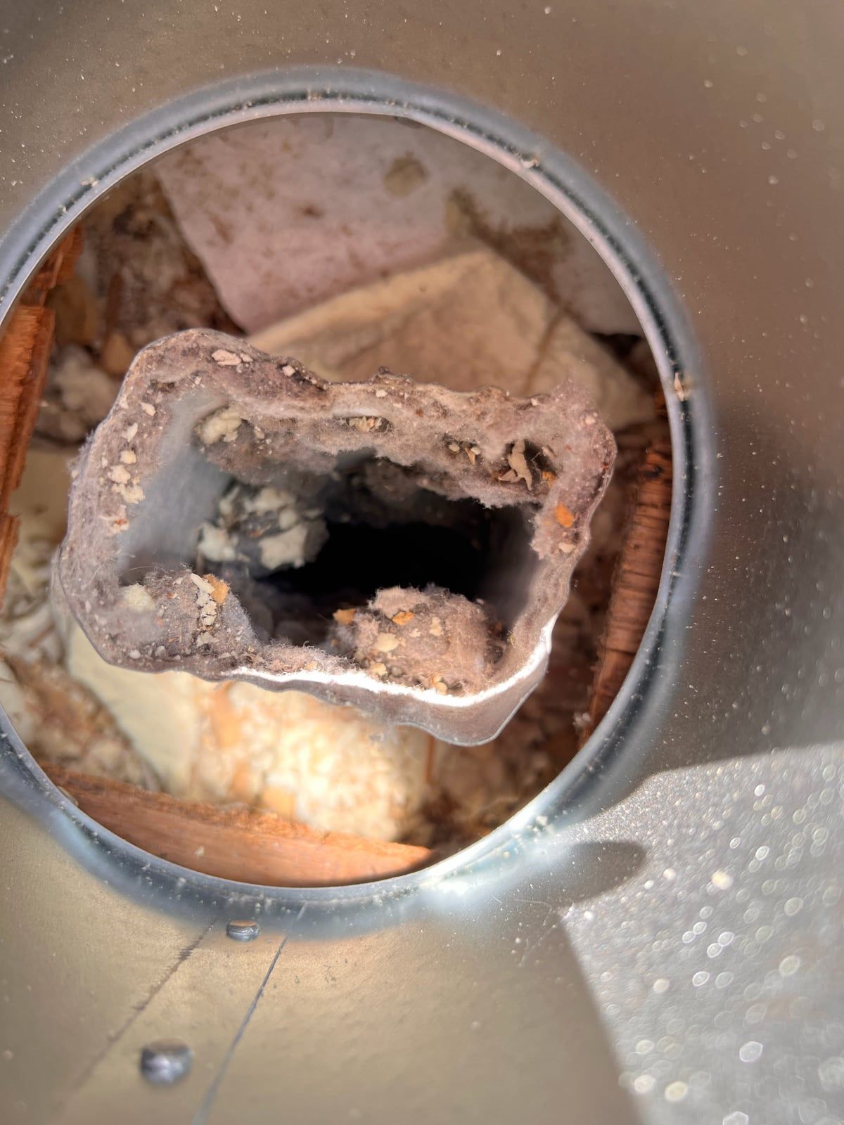 A dryer duct opening inside a metal wall box, its walls caked with gray lint and debris