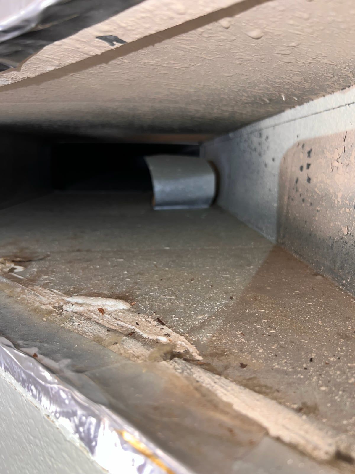 Inside a supply trunk duct before cleaning, with dust and debris along its floor